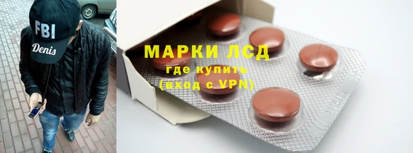 твердый Арсеньев