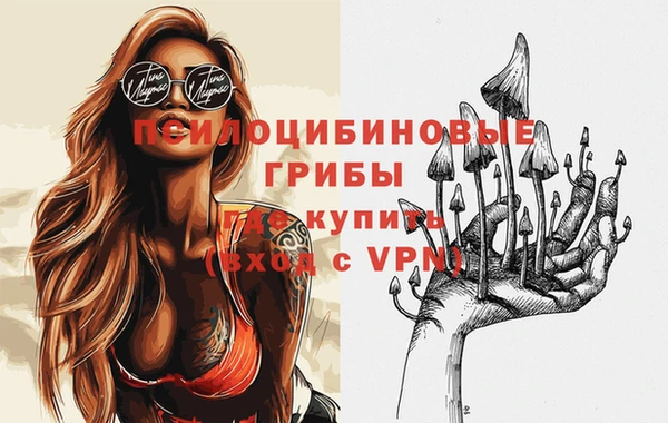 твердый Арсеньев