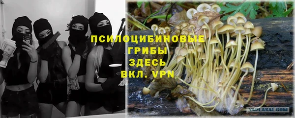 прущая мука Абаза