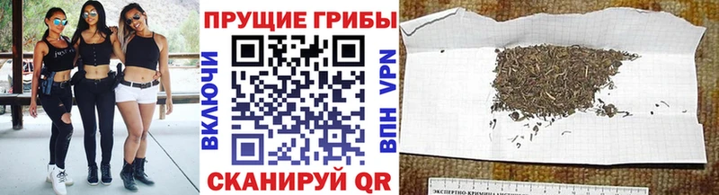 Псилоцибиновые грибы ЛСД  ссылка на мегу ССЫЛКА  Рубцовск 