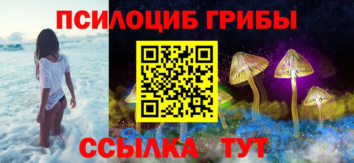 Псилоцибиновые грибы прущие грибы Рубцовск